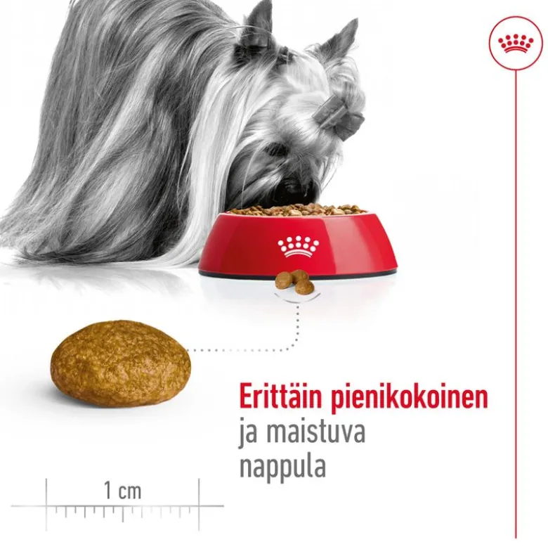 Royal Canin X-Small Adult