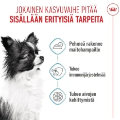 Royal Canin X-Small Puppy kastikkeessa