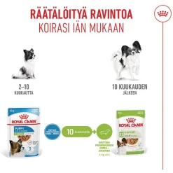 Royal Canin X-Small Puppy kastikkeessa