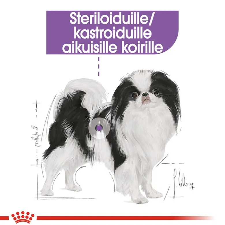 Royal Canin X-Small Sterilised