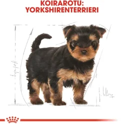 Royal Canin Yorkshire Terrier Puppy