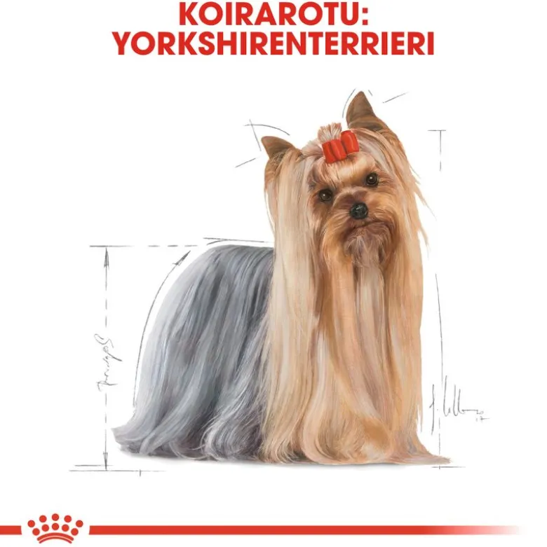 Royal Canin Yorkshire Terrier Adult Mousse