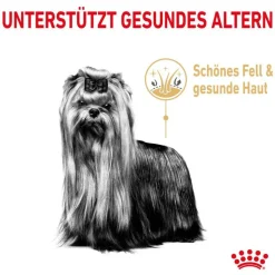 Royal Canin Yorkshire Terrier Adult 8+