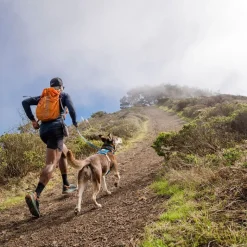 Ruffwear Flagline -talutin