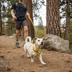 Ruffwear Flagline -talutin