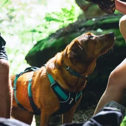 Ruffwear Flagline -valjaat, Basalt Grey