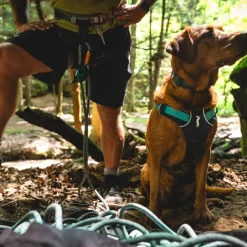 Ruffwear Flagline -valjaat, Basalt Grey