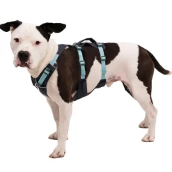 Ruffwear Flagline -valjaat, Basalt Grey