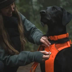 Ruffwear Front Range -talutushihna, Blaze Orange