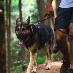 Ruffwear Front Range -valjaat, Moonlight Mountains