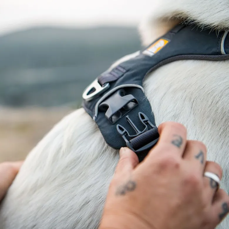Ruffwear Front Range -valjaat