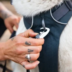 Ruffwear Front Range -valjaat