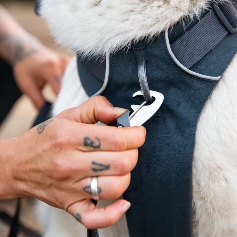 Ruffwear Front Range -valjaat
