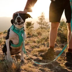 Ruffwear Front Range -valjaat, Spring Mountains