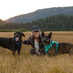 Ruffwear Front Range -valjaat, Spring Mountains