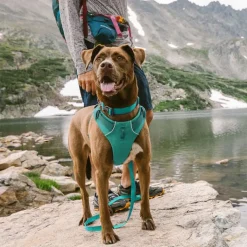 Ruffwear Front Range -valjaat, Spring Mountains