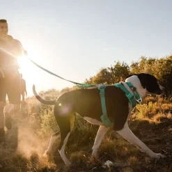 Ruffwear Front Range -valjaat, Spring Mountains