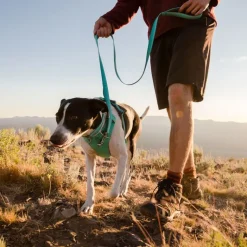 Ruffwear Front Range -valjaat, Spring Mountains