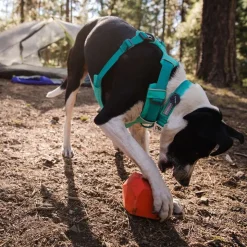 Ruffwear Front Range -valjaat, Spring Mountains