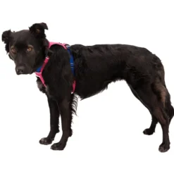 Ruffwear Hi & Light -valjaat, Alpen Glow Pink