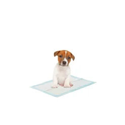 Savic Puppy Trainer -aloituspakkaus
