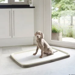 Savic Puppy Trainer -aloituspakkaus
