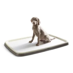 Savic Puppy Trainer -aloituspakkaus