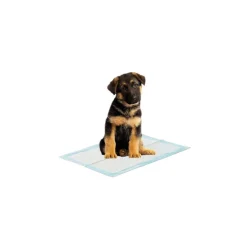 Savic Puppy Trainer -aloituspakkaus