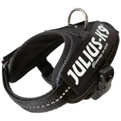 Setti: JULIUS-K9®-Power -valjaat - musta + Julius-K9 -tuplatalutushihna, kumipintainen
