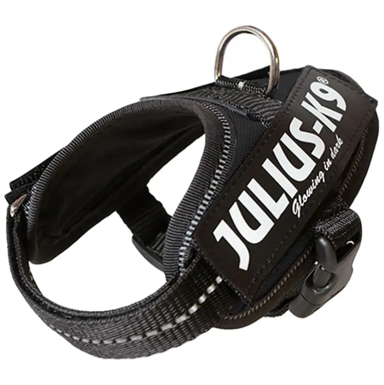 Setti: JULIUS-K9®-Power -valjaat - musta + Julius-K9 -tuplatalutushihna, kumipintainen