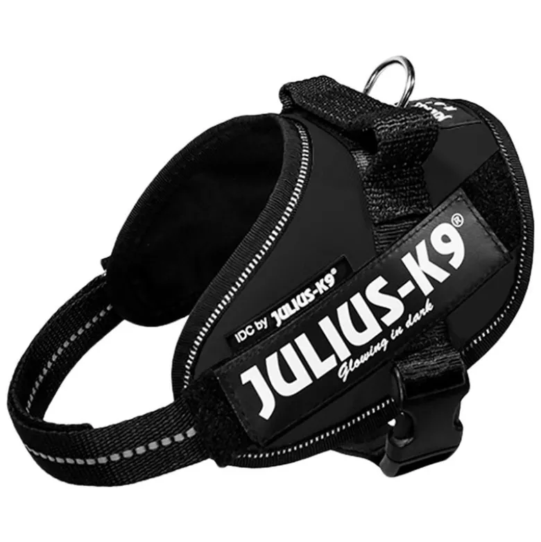 Setti: JULIUS-K9®-Power -valjaat - musta + Julius-K9 -tuplatalutushihna, kumipintainen