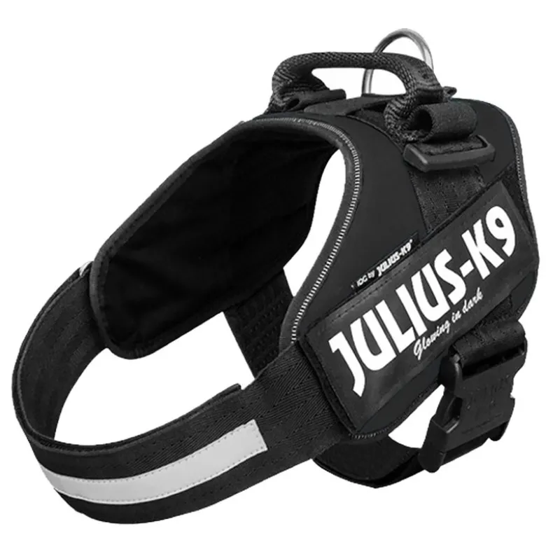 Setti: JULIUS-K9®-Power -valjaat - musta + Julius-K9 -tuplatalutushihna, kumipintainen