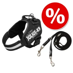 Setti: JULIUS-K9®-Power -valjaat - musta + Julius-K9 -tuplatalutushihna, kumipintainen