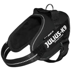 Setti: JULIUS-K9®-Power -valjaat - musta + Julius-K9 -tuplatalutushihna, kumipintainen