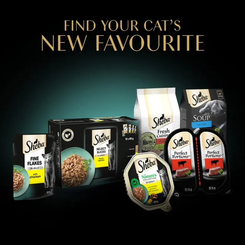 Sheba Nature's Collection in Sauce 12 x 85 g