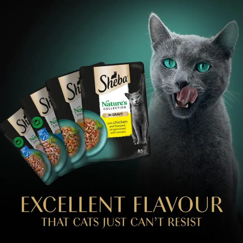 Sheba Nature's Collection in Sauce 144 x 85 g