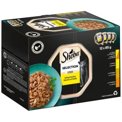 Sheba-rasialajitelma 12 x 85 g
