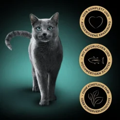 Sheba-tuorepussilajitelmat säästöpakkauksessa 56 x 85 g