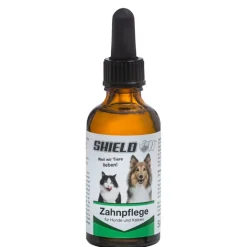 Shield On Dental Care