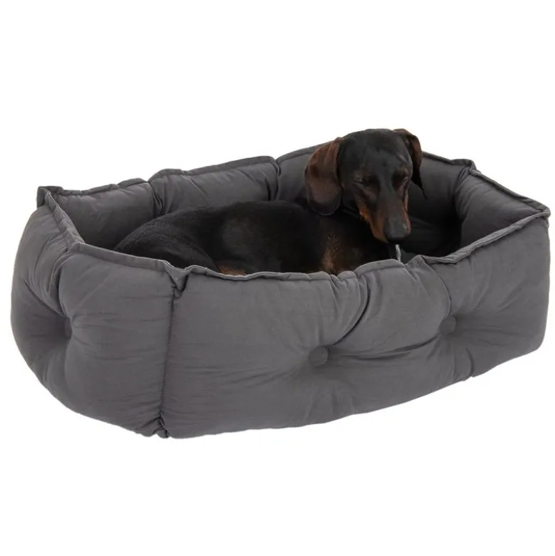 Silky-pehmopeti