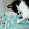 Slo-Mo-kissanlelu