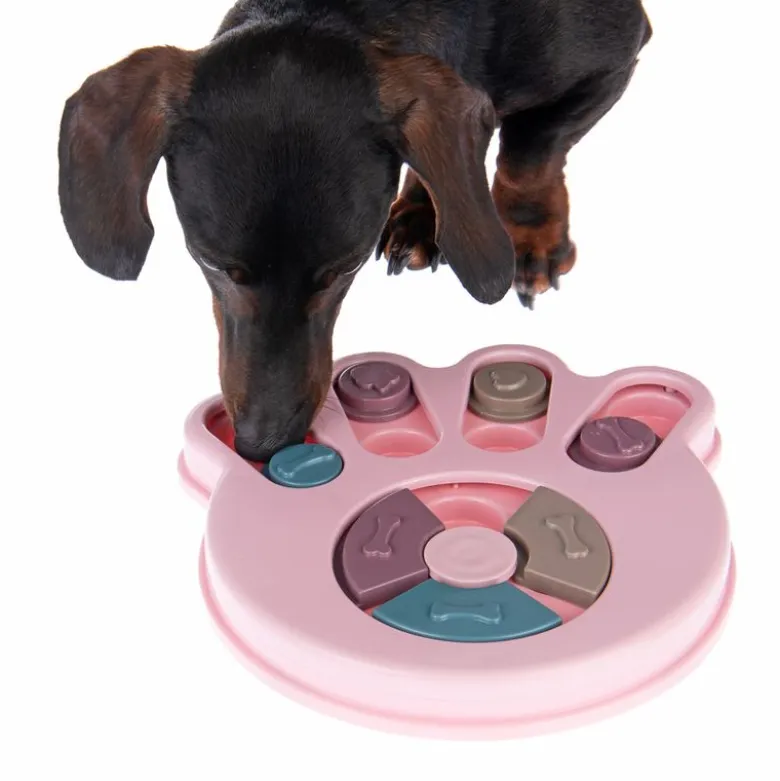 Snack Paw -älylelu