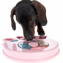 Snack Paw -älylelu