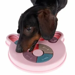 Snack Paw -älylelu