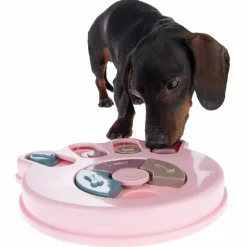 Snack Paw -älylelu