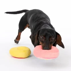 Squeaky Donuts -koiranlelu