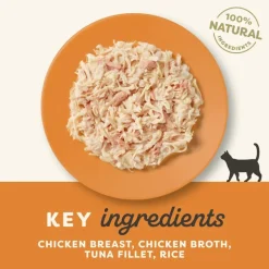 Säästöpakkaus Applaws Cat Natural liemessä 48 x 70 g