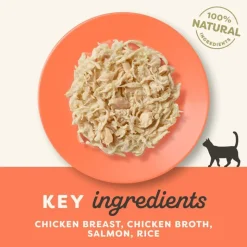 Säästöpakkaus Applaws Cat Natural liemessä 48 x 70 g