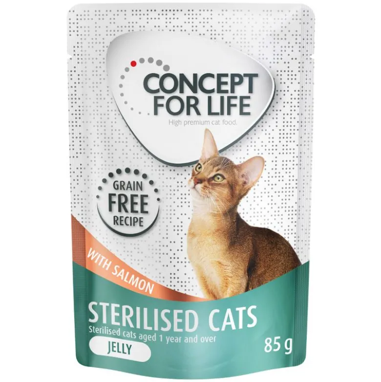 Säästöpakkaus Concept for Life viljaton 24 x 85 g