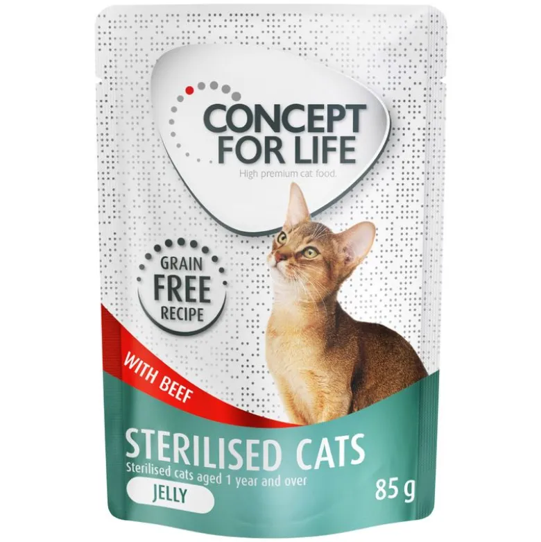 Säästöpakkaus Concept for Life viljaton 24 x 85 g